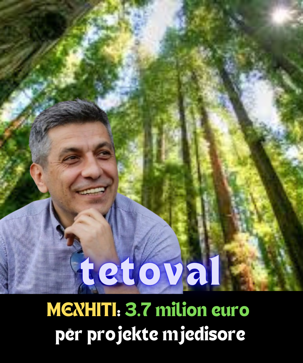 tetova1 (3)