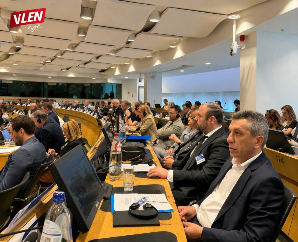 VLEN  Rruga evropiane kalon edhe nga komunat