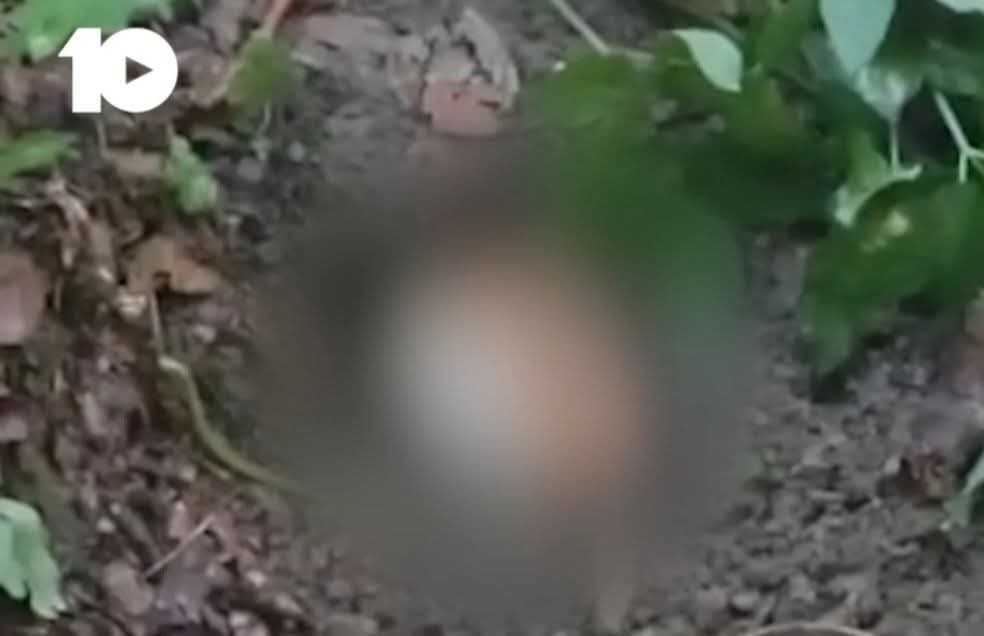 Dyshohet se u përkasin 23 intelektualëve të zhdukur, zbulohen eshtra njerëzore në Zubin Potok