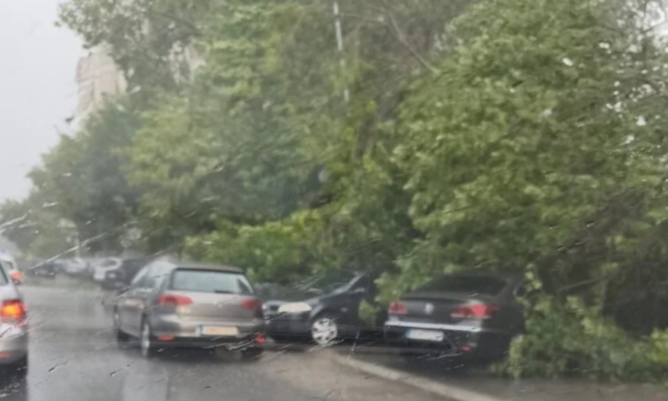 Momente dramatike në Shkup: Era e fortë rrëzon pemë, dëme në vetura