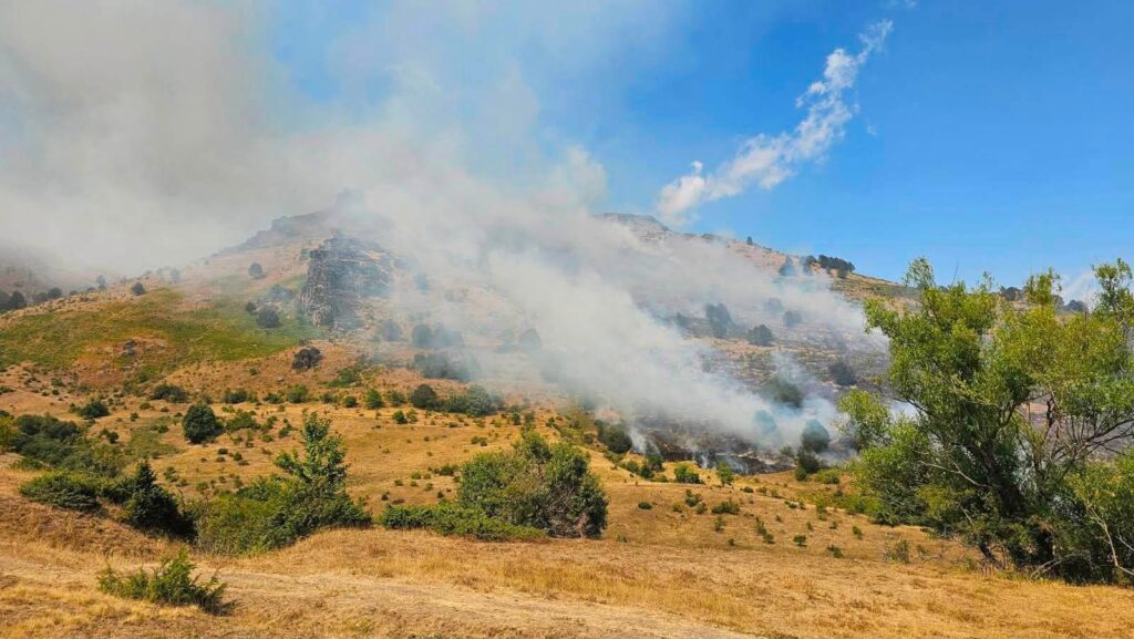 IPPK “Mali Sharr” apelon pas disa vatrave të zjarrit: Mos ndizni zjarre në natyrë