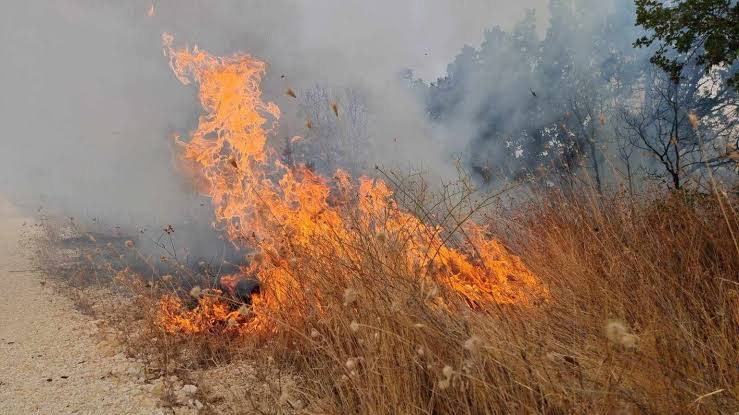 ndalese-per-levizje-neper-pyje-vazhdon-deri-me-30-shtator-rreziku-nga-zjarret-ende-eshte-i-madh