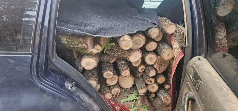 Arrestohet 29 vjeçari nga Zhelina, kapet duke transportuar dru pa dokumentacion