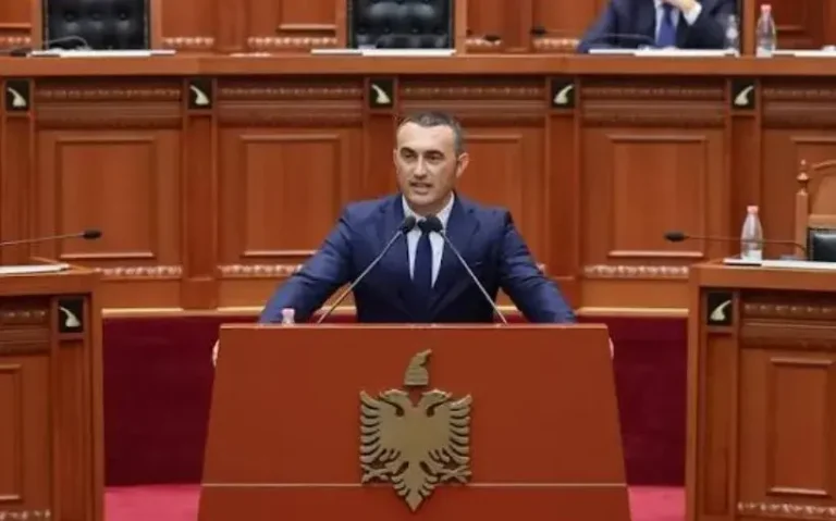 Deliu: NATO mund të përfshihet nëse situata e protestës në Shqipëri përshkallëzohet