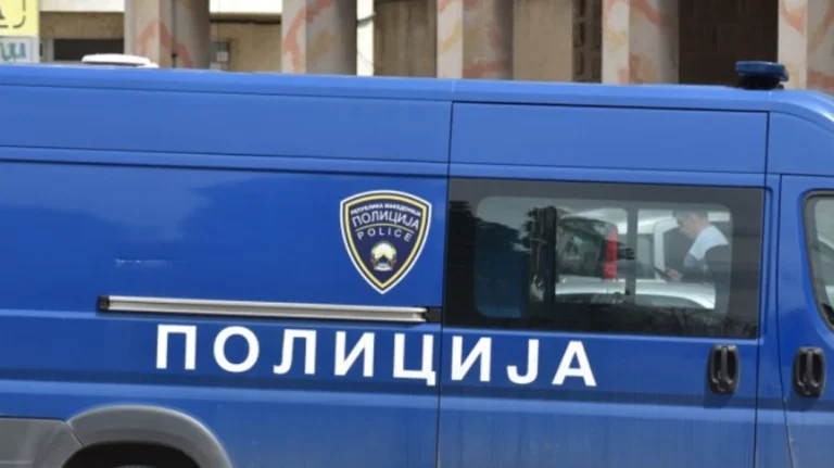 Katër persona kapen duke gërmuar ilegalisht për ar në Kalisht të Gostivarit